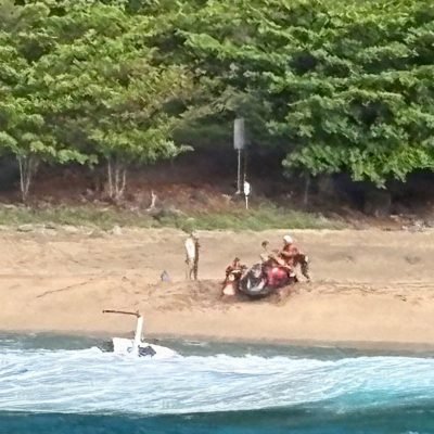 Three killed in tourist helicopter crash in Hawaii